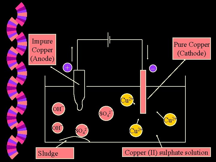 Impure Copper (Anode) Pure Copper (Cathode) + Cu 2+ OH¯ Sludge SO 42¯ Cu