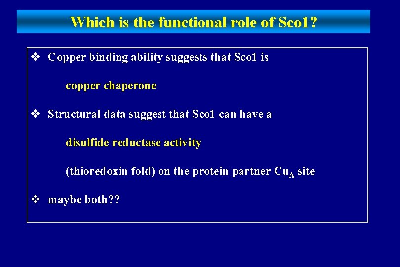 Which is the functional role of Sco 1? v Copper binding ability suggests that
