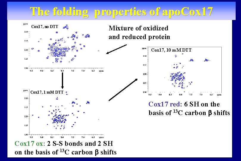 The folding properties of apo. Cox 17, no DTT Mixture of oxidized and reduced