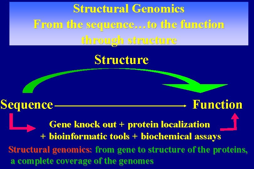 Structural Genomics From the sequence…to the function through structure Sequence Function Gene knock out