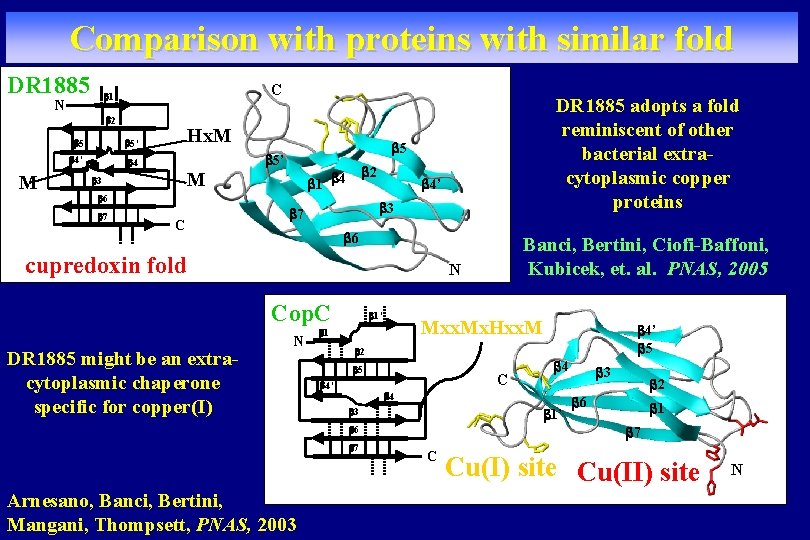 Comparison with proteins with similar fold DR 1885 C 1 N 2 M 5