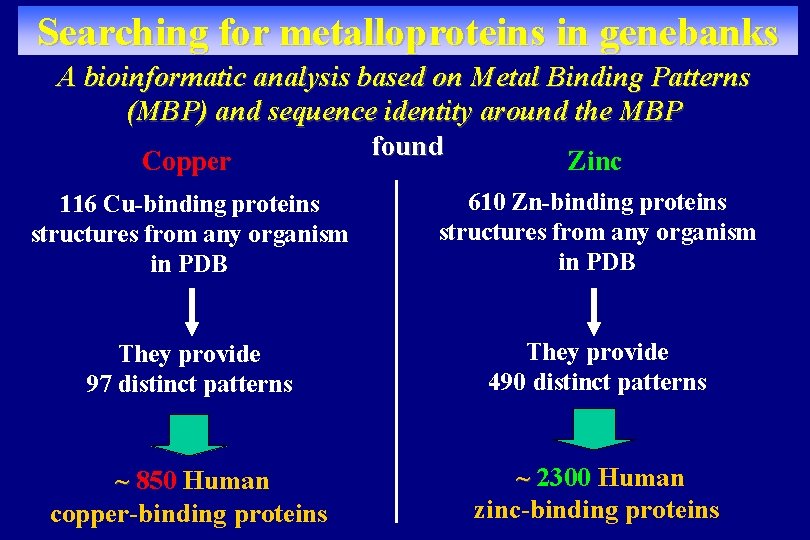 Searching for metalloproteins in genebanks A bioinformatic analysis based on Metal Binding Patterns (MBP)