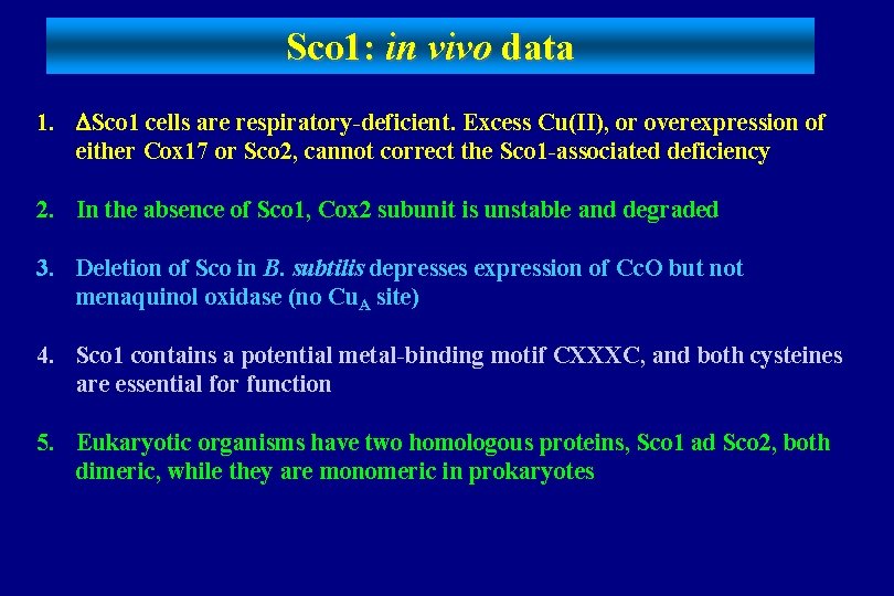 Sco 1: in vivo data 1. Sco 1 cells are respiratory-deficient. Excess Cu(II), or