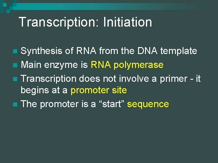 Transcription: Initiation Synthesis of RNA from the DNA template n Main enzyme is RNA