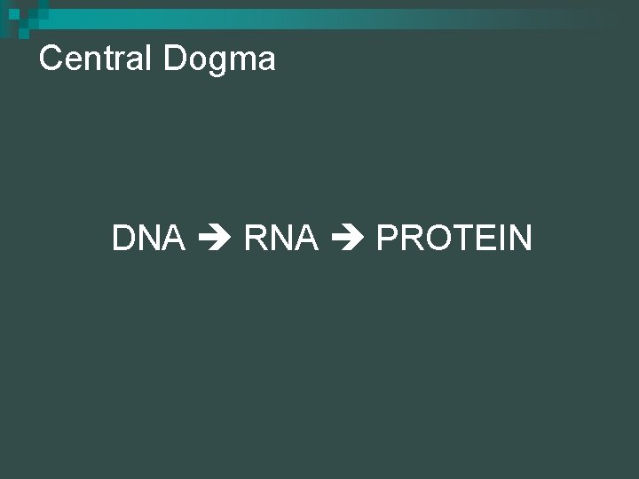 Central Dogma DNA RNA PROTEIN 