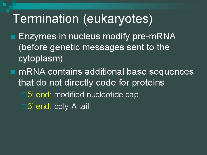 Termination (eukaryotes) Enzymes in nucleus modify pre-m. RNA (before genetic messages sent to the