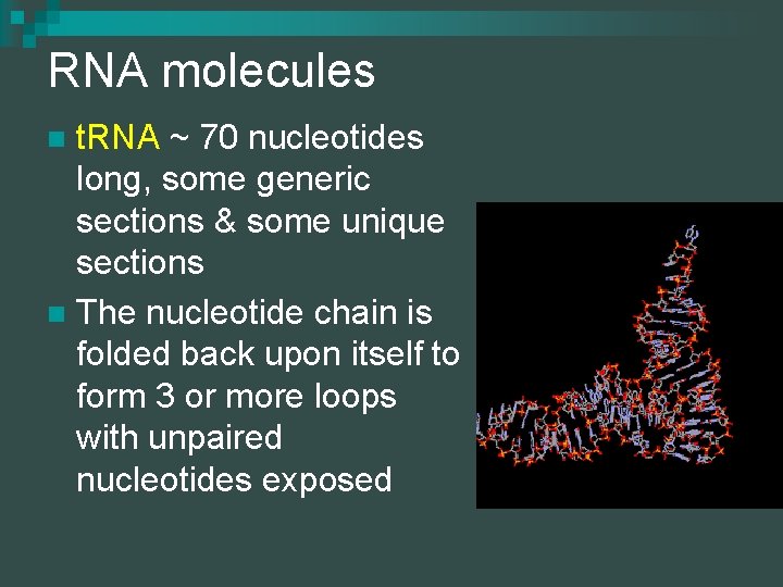 RNA molecules t. RNA ~ 70 nucleotides long, some generic sections & some unique