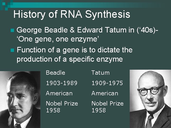 History of RNA Synthesis George Beadle & Edward Tatum in (‘ 40 s)‘One gene,