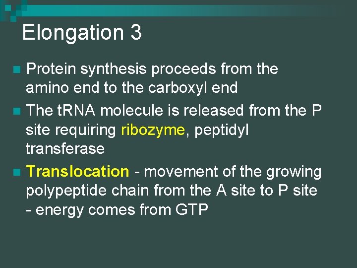 Elongation 3 Protein synthesis proceeds from the amino end to the carboxyl end n
