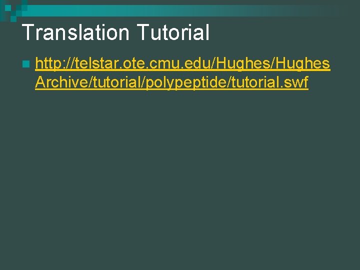 Translation Tutorial n http: //telstar. ote. cmu. edu/Hughes Archive/tutorial/polypeptide/tutorial. swf 