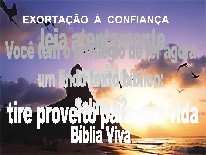 EXORTAÇÃO À CONFIANÇA 