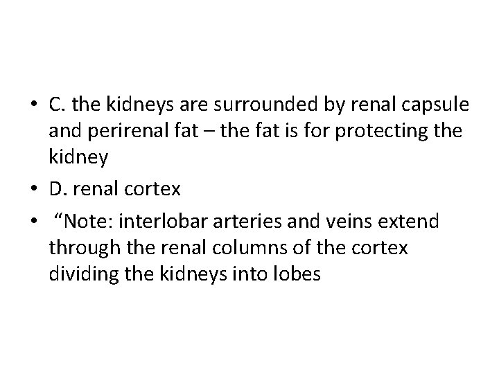  • C. the kidneys are surrounded by renal capsule and perirenal fat –