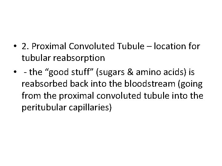  • 2. Proximal Convoluted Tubule – location for tubular reabsorption • - the