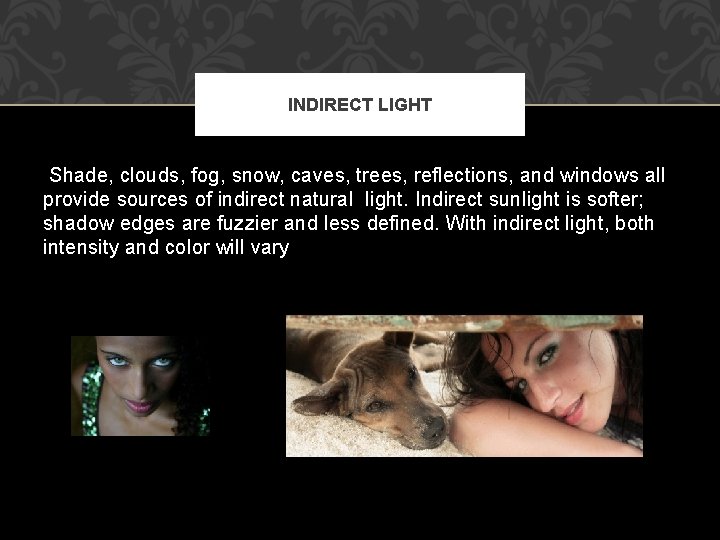 INDIRECT LIGHT Shade, clouds, fog, snow, caves, trees, reflections, and windows all provide sources
