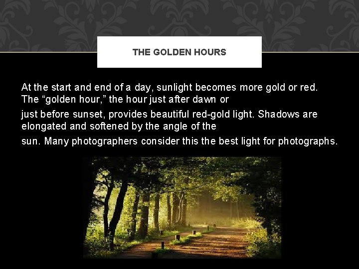 THE GOLDEN HOURS At the start and end of a day, sunlight becomes more