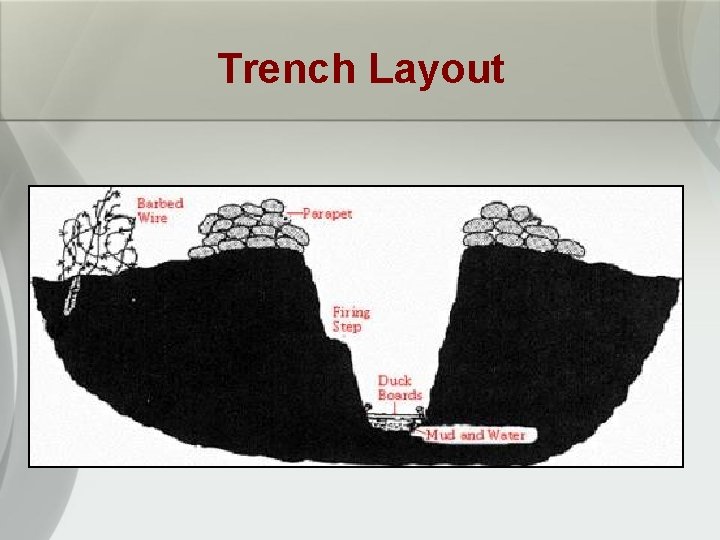 Trench Layout 