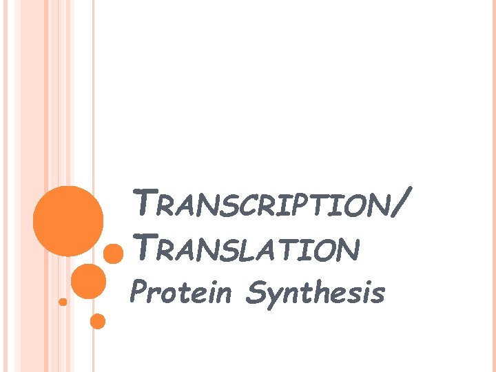 TRANSCRIPTION/ TRANSLATION Protein Synthesis 
