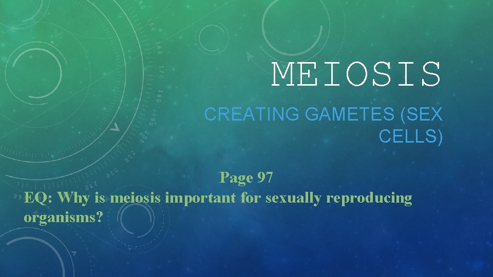 MEIOSIS CREATING GAMETES (SEX CELLS) Page 97 EQ: Why is meiosis important for sexually
