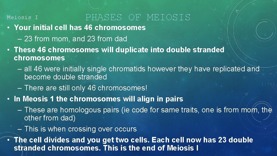 Meiosis I PHASES OF MEIOSIS • Your initial cell has 46 chromosomes – 23