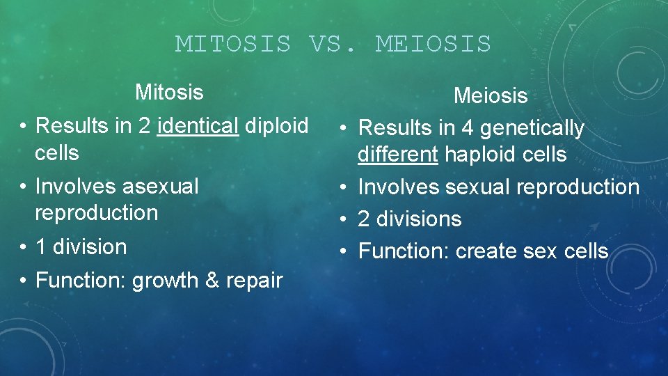 MITOSIS VS. MEIOSIS Mitosis • Results in 2 identical diploid cells • Involves asexual