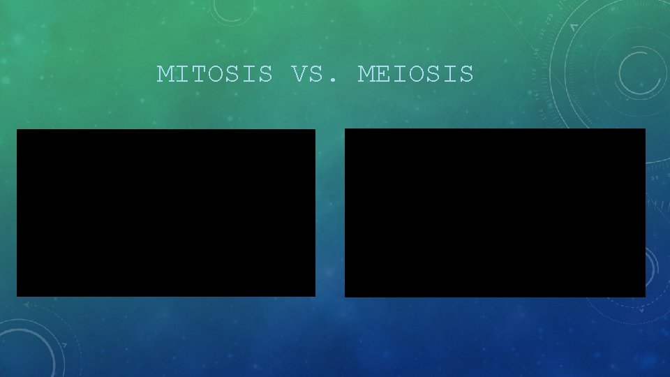 MITOSIS VS. MEIOSIS 