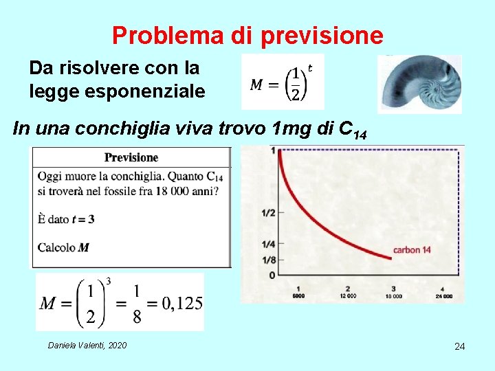 Problema di previsione Da risolvere con la legge esponenziale In una conchiglia viva trovo