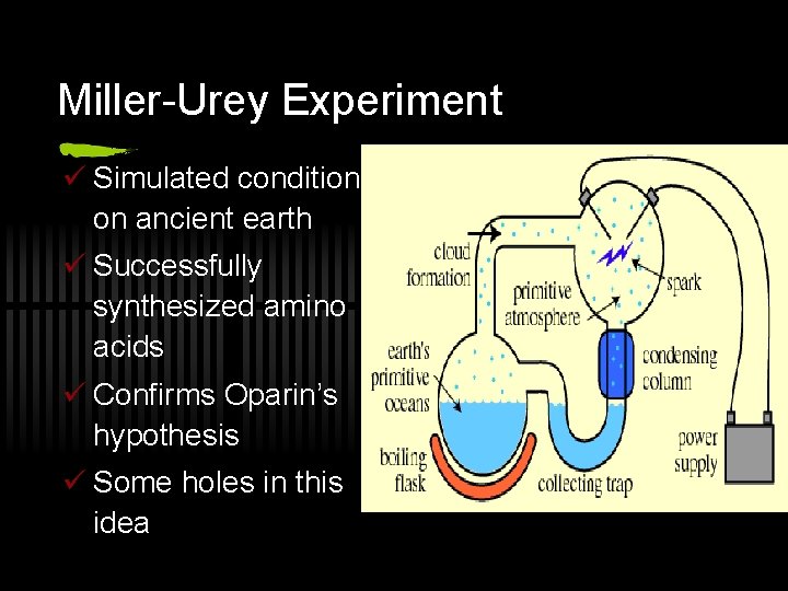 Miller-Urey Experiment ü Simulated conditions on ancient earth ü Successfully synthesized amino acids ü