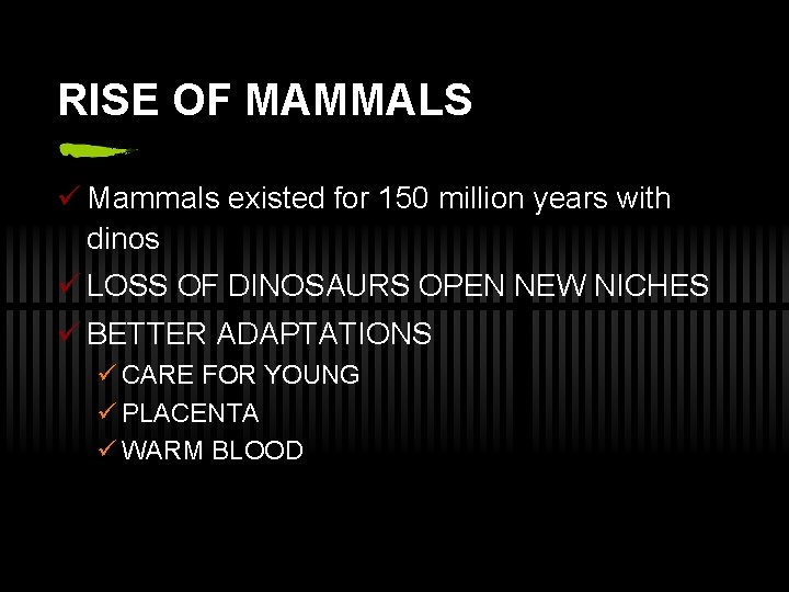 RISE OF MAMMALS ü Mammals existed for 150 million years with dinos ü LOSS