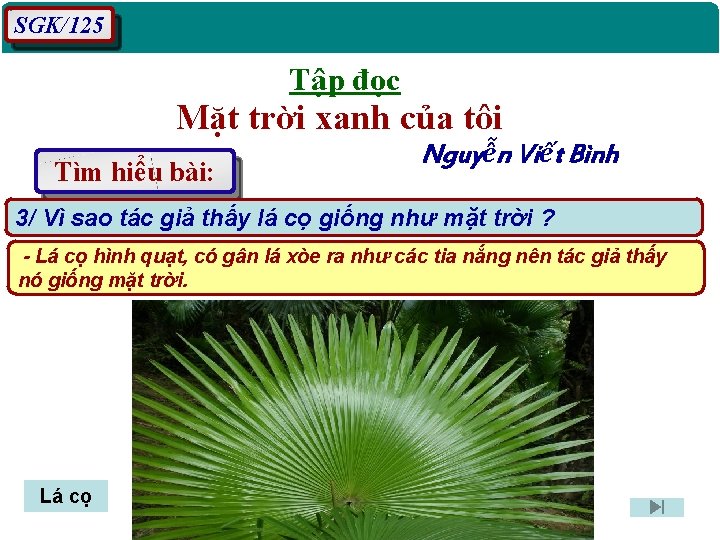 SGK/125 Tập đọc Mặt trời xanh của tôi Tìm hiểu bài: Nguyễn Viết Bình