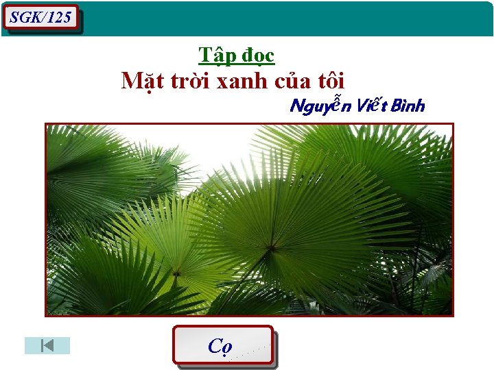 SGK/125 Tập đọc Mặt trời xanh của tôi Nguyễn Viết Bình Cọ 