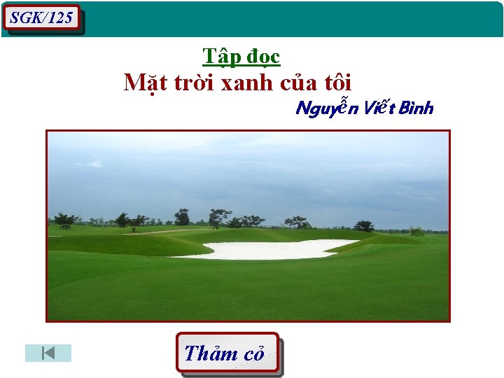 SGK/125 Tập đọc Mặt trời xanh của tôi Nguyễn Viết Bình Thảm cỏ 