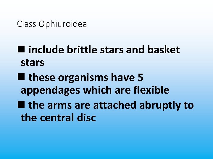 Class Ophiuroidea n include brittle stars and basket stars n these organisms have 5