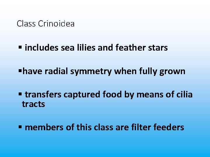 Class Crinoidea § includes sea lilies and feather stars §have radial symmetry when fully