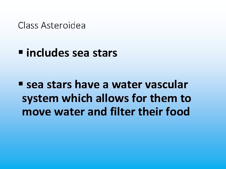 Class Asteroidea § includes sea stars § sea stars have a water vascular system
