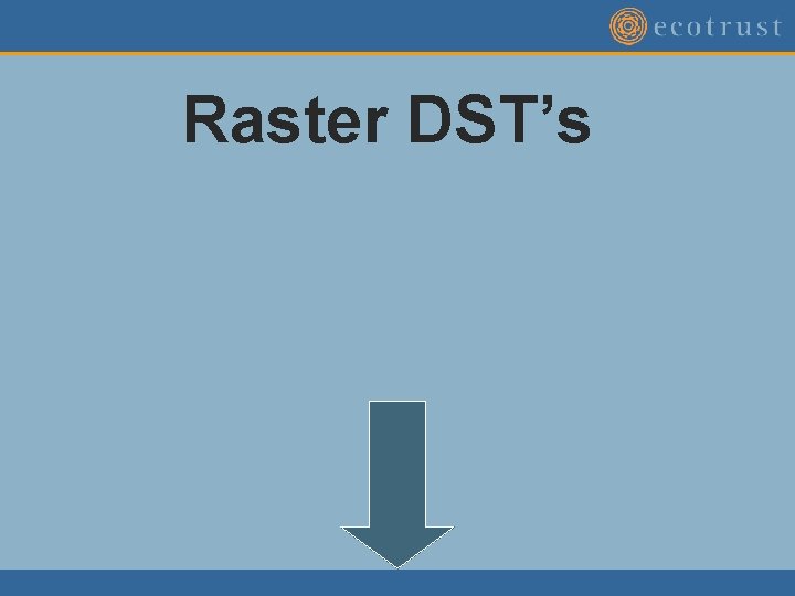 Raster DST’s Raster DST’s