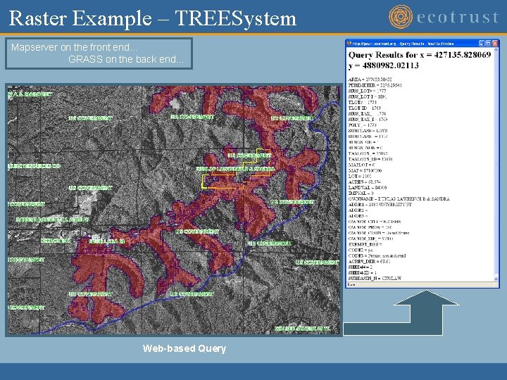 Raster Example – TREESystem Mapserver on the front end… GRASS on the back end… Raster Example – TREESystem Mapserver on the front end… GRASS on the back end…