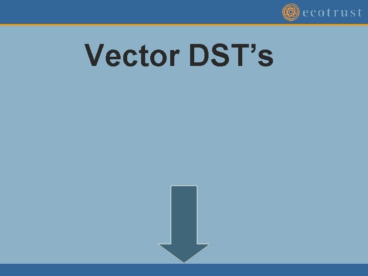 Vector DST’s Vector DST’s