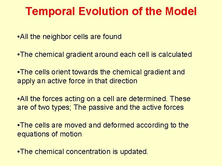 Temporal Evolution of the Model • All the neighbor cells are found • The