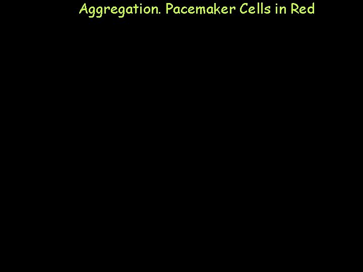 Aggregation. Pacemaker Cells in Red 