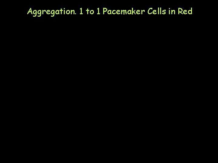 Aggregation. 1 to 1 Pacemaker Cells in Red 