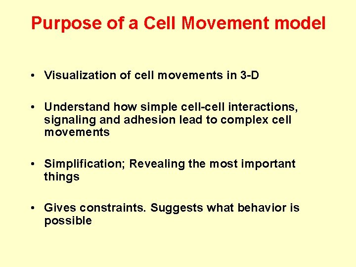 Purpose of a Cell Movement model • Visualization of cell movements in 3 -D