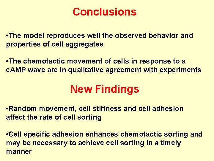 Conclusions • The model reproduces well the observed behavior and properties of cell aggregates