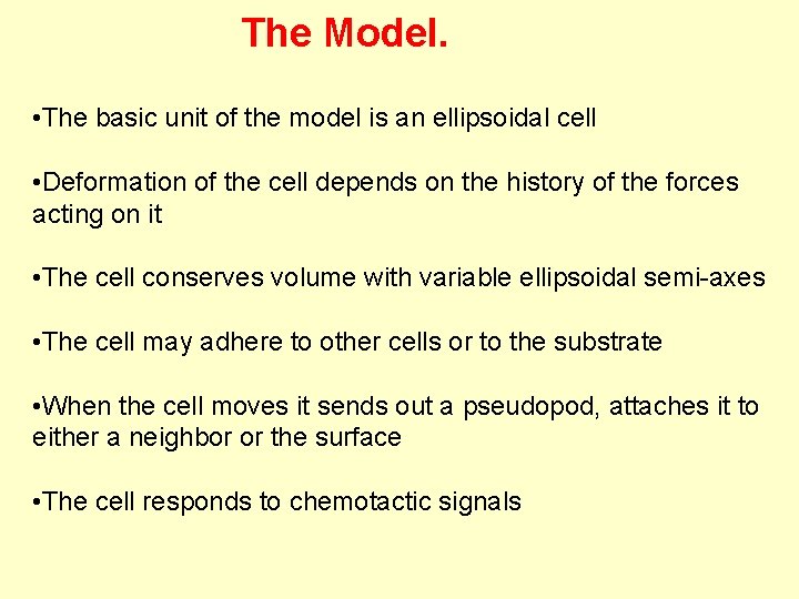 The Model. • The basic unit of the model is an ellipsoidal cell •