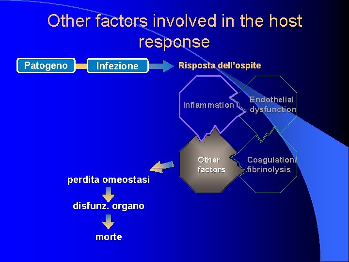 Other factors involved in the host response Patogeno Infezione Risposta dell’ospite Inflammation perdita omeostasi