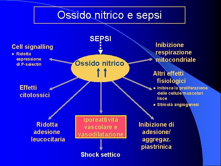 Ossido nitrico e sepsi SEPSI Inibizione respirazione mitocondriale Cell signalling l Ridotta espressione di