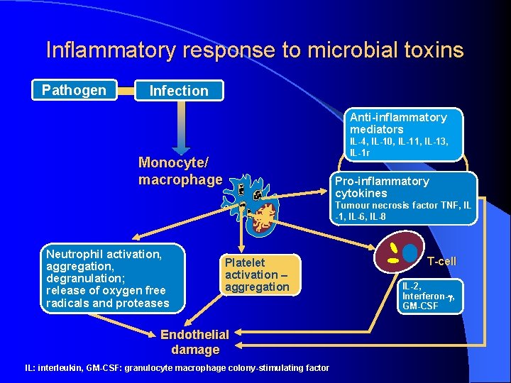 Inflammatory response to microbial toxins Pathogen Infection Anti-inflammatory mediators IL-4, IL-10, IL-11, IL-13, IL-1