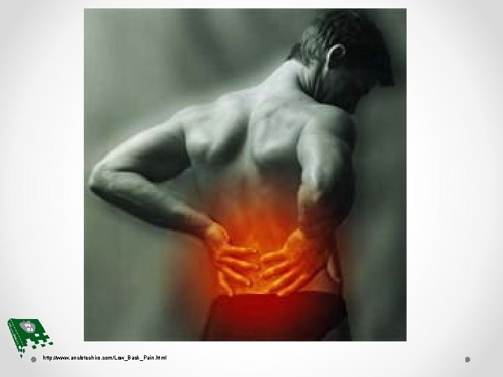 http: //www. anclotechiro. com/Low_Back_Pain. html 