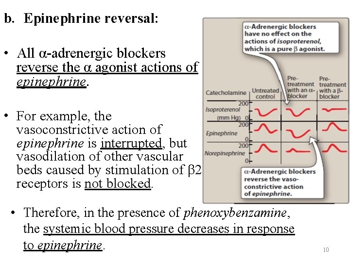 b. Epinephrine reversal: • All α-adrenergic blockers reverse the α agonist actions of epinephrine.