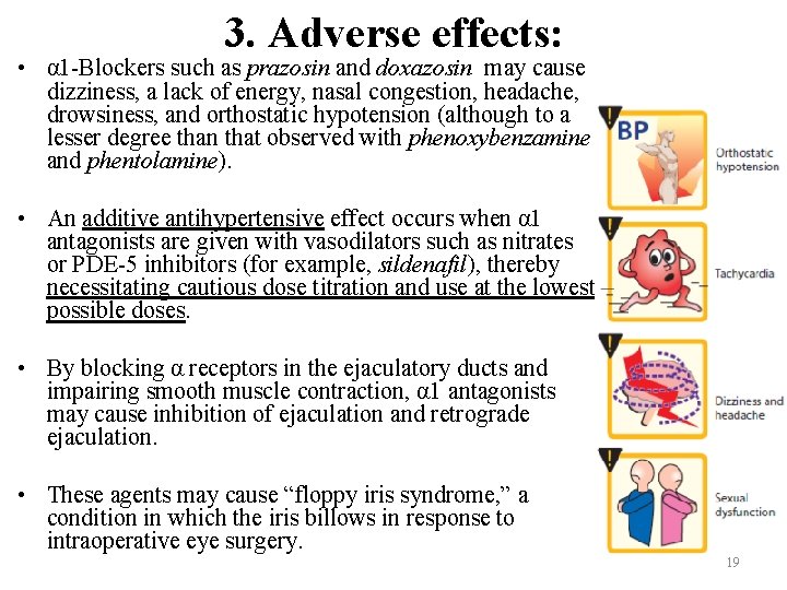 3. Adverse effects: • α 1 -Blockers such as prazosin and doxazosin may cause