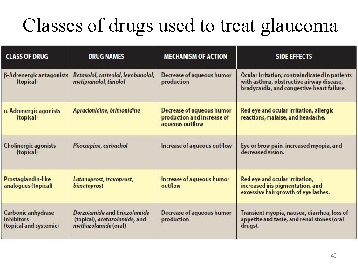 Classes of drugs used to treat glaucoma 48 